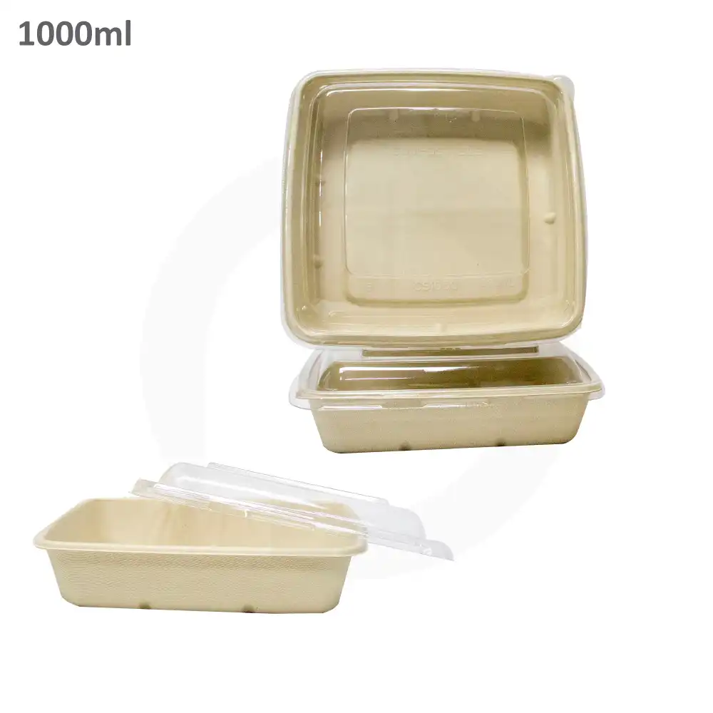 1000ml Bagasse Sugarcane Food Bowl 300/ctn