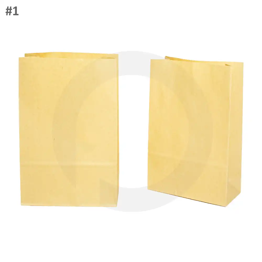 #1 Kraft Paper No Handle Bag 200/ctn