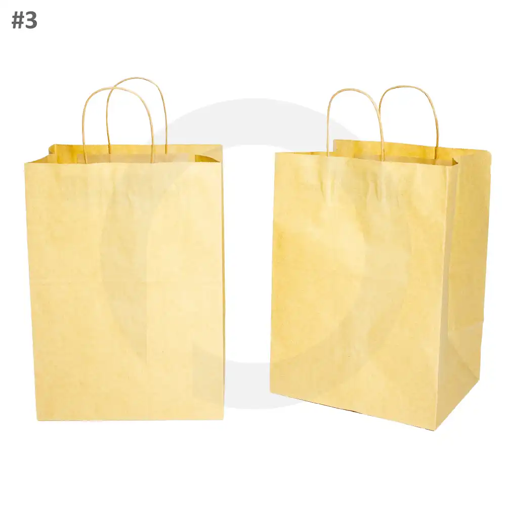#3 Kraft Paper Twisted Handle Bag 200/ctn