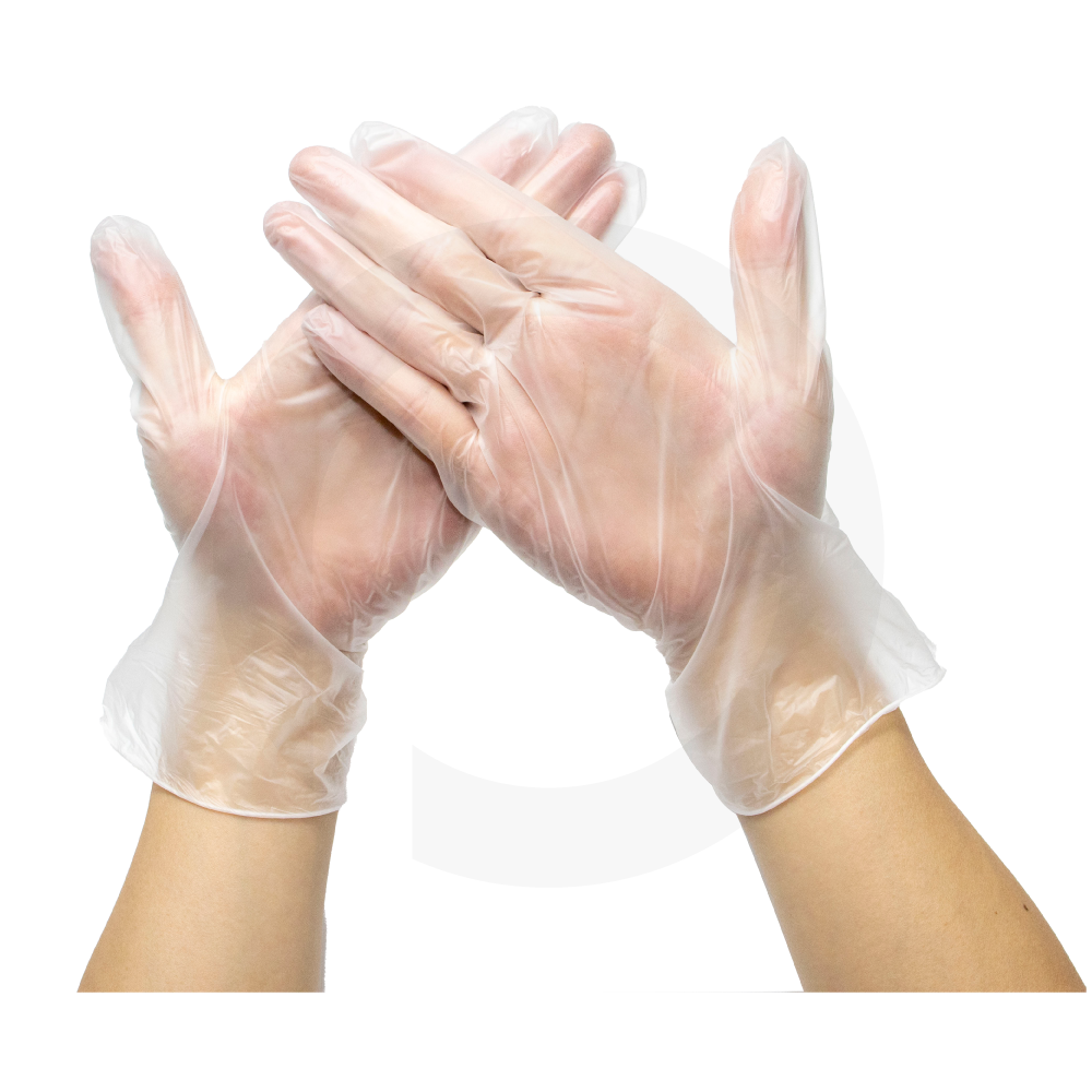 [388032] Large Clear Vinyl Gloves 10box/ctn