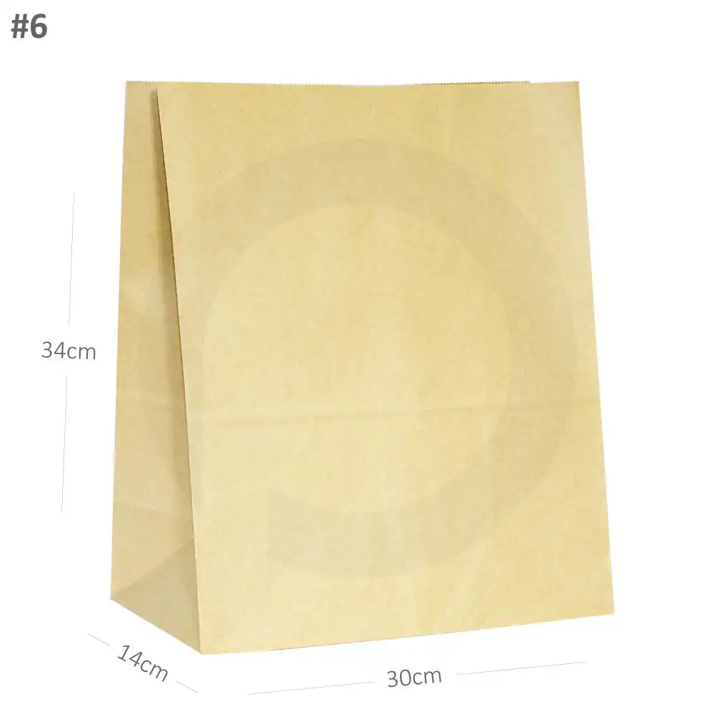 #6 Kraft Paper No Handle Bag 200/ctn