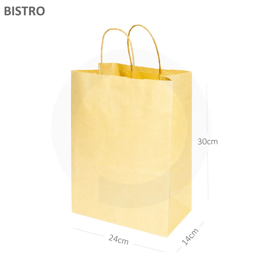 [101032] #2414 Kraft Paper Twisted Handle Bag 200/ctn